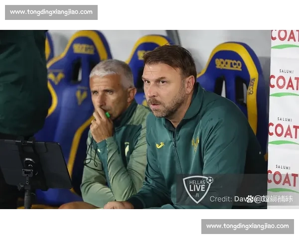 加利亚尔迪尼破门难救主！维罗纳 2-2 卡利亚里，扎帕出战暴露防线隐患